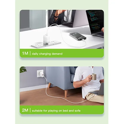 BLITZ - CC65W Type-C Cable | 2M Braided | | 65W Fast Charging iPhone 15/Notebook Compatible | CE Certified | 1-Year Warranty